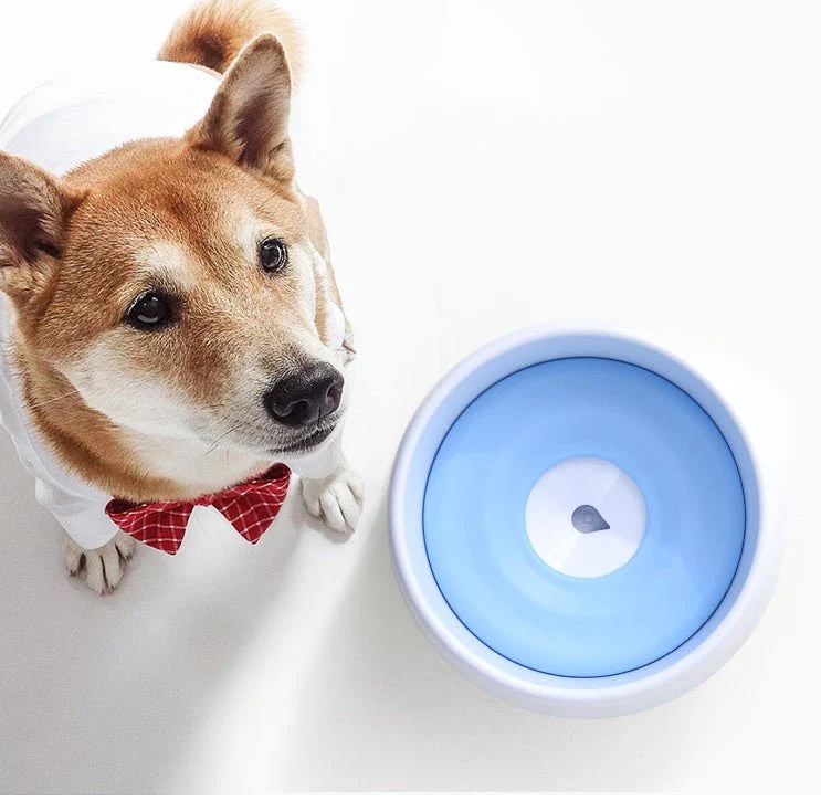 Automatic Dog & Cat Drinking Bowl – Self-Refilling Water Fountain | Clean & Spill-Free Pet Hydration