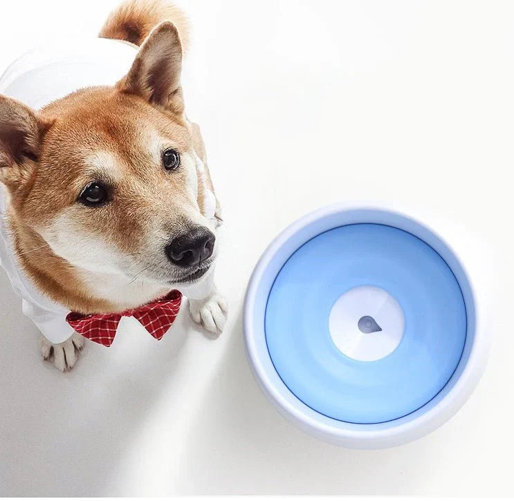 Automatic dog drinking bowl with clean water flow system for pets