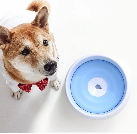 Automatic Dog & Cat Drinking Bowl – Self-Refilling Water Fountain | Clean & Spill-Free Pet Hydration